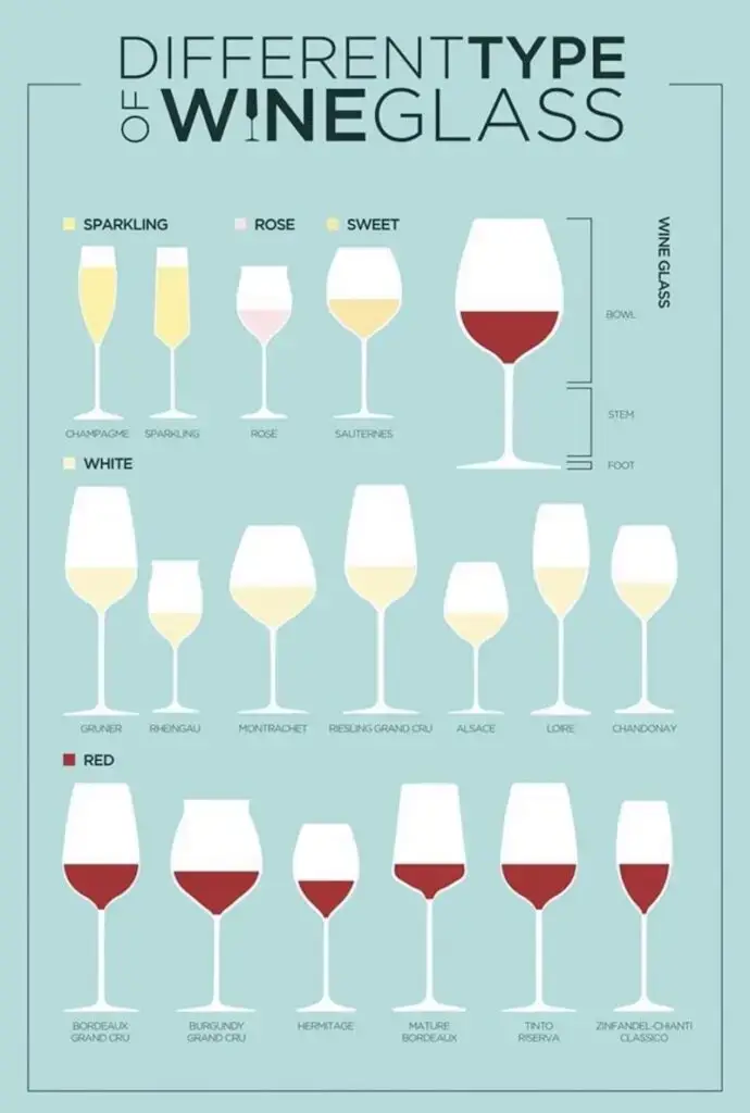 Diferentes tipos de taças de vinho